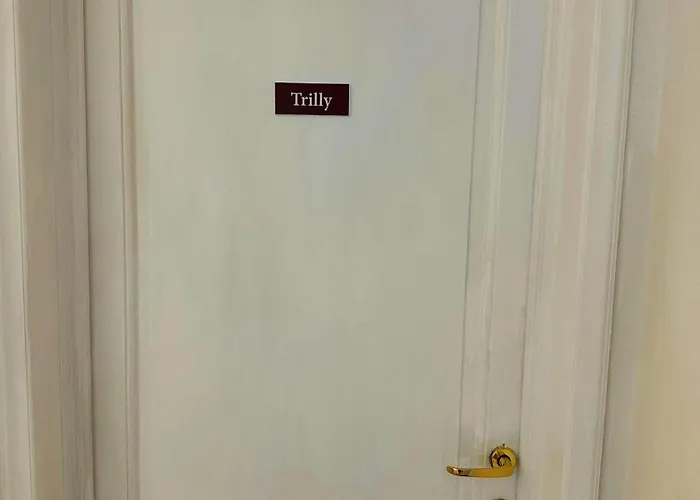 Singola Trilly Florencja